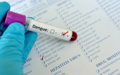Ante una sospecha de dengue, es importante evitar la automedicación y consultar a un profesional de salud.
