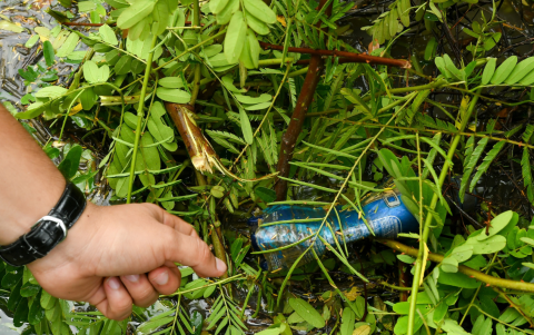 La contaminación de envases plásticos también afecta al ecosistema de la isla Santay.