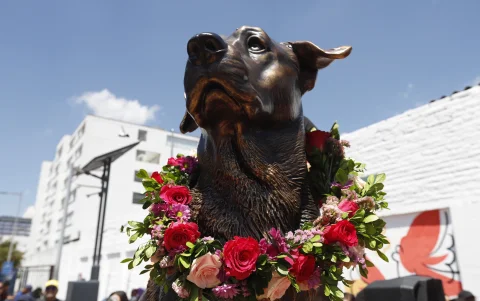 Max, el perro comunitario y presidente vitalicio de los Poliperros fue inmortalizado en una estatua.