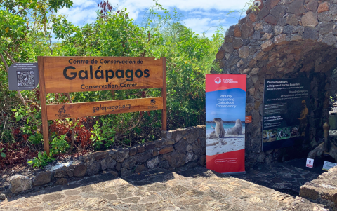 Galápagos se prepara para los efectos de El Niño en la fauna y el turismo.