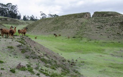 El Parque Arqueológico Cochasquí, en Pedro Moncayo, conserva 15 pirámides truncas y 21 montículos funerarios de origen prehispánico.