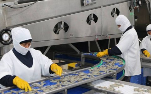 La medida recae en clientes de alto voltaje 1 y medio voltaje para priorizar a los hogares.