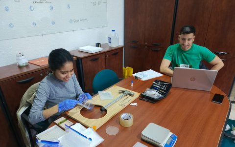 El equipo observó y proceso muestras de las plantas con síntomas sospechosos.