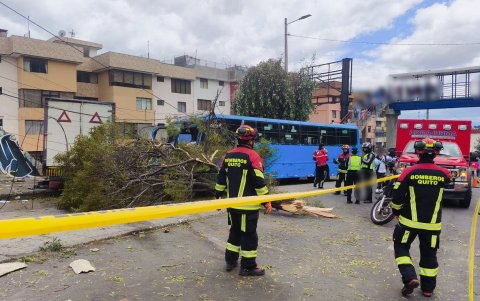 La Agencia Metropolitana de Tránsito identificó un tercer camión involucrado, ubicado aproximadamente a 50 metros del lugar del accidente.