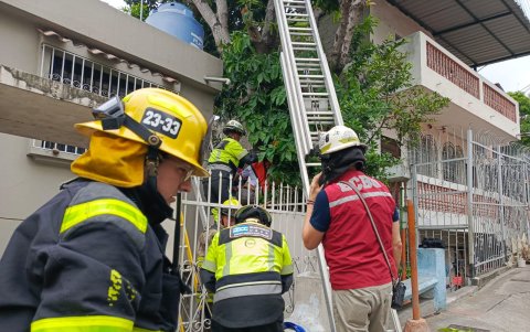 Los bomberos utilizaron cuerdas y herramientas de corte para liberar al hombre, que permanecía atrapado a unos tres metros de altura.