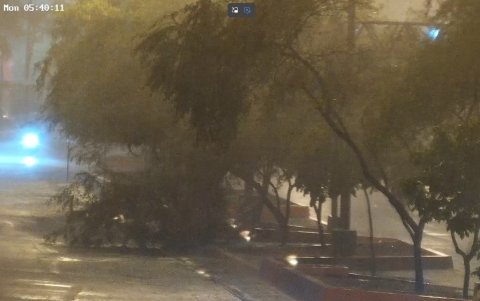 Segura EP reportó la caída de un árbol o ramas en la avenida Barcelona, frente al Parque Acuático, tras las fuertes lluvias de la madrugada de este lunes 19 de octubre.