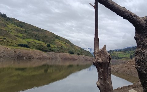 Un árbol seco sobresale junto a las aguas de Mazar. El descenso del embalse ha dejado al descubierto parte de las laderas que antes permanecían sumergidas.