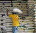 Una persona carga un saco de arroz en una bodega.