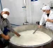 La preparación de un queso gouda de 120 kilogramos.