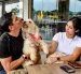 Cafeterías, restaurantes y comercios amplían sus espacios para recibir a las mascotas.