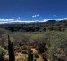 El parque Los Algarrobos es un bosque seco nativo que resiste al crecimiento habitacional del Valle de Tumbaco.