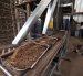 En la planta de Bioconversión, en Guayaquil, la cáscara de banano se mezcla con restos de cacao, leche y cerveza para alimentar a las larvas de mosca soldado negra.