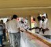 El cevi sanduche fue elaborado por los estudiantes de la carrera de Gastronomía, de la Universidad Técnica de Manabí

AG-EXTERNOS