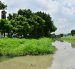 Los guayaquileños solicitan limpiar con urgencia canales de aguas lluvia naturales y zanjas. Los espacios se han convertido en criaderos de mosquitos.