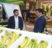 Esta iniciativa fue presentada durante la convención "Banana Time 2025", que se realizó esta semana en Guayaquil.