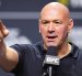 El mandamás de la UFC, Dana White, fue el encargado de encabezar las investigaciones al percibir el ilícito.