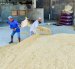 El arroz es uno de los productos afectados por los aranceles impuestos por Colombia.