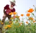 El residente de Altadena, René Amy, inspecciona las amapolas de California que crecen en el terreno donde se encontraba su antigua casa el 30 de marzo de 2026.