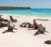 Islas Galápagos, uno de los ecosistemas más biodiversos del planeta, bajo protección de Ecuador..