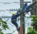 El sistema de transmisión Puerto Inca es uno de los siete proyectos que buscaba dotar de energía al sector acuícola.