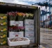 El USTR fijó un arancel adicional de 10% a Ecuador por no aplicar con eficacia su norma contra el trabajo forzado en cadenas de exportación.