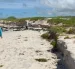 Los turistas que visiten Galápagos deberán seguir recomendaciones para evitar incidentes debido a las condiciones del mar.