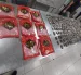Intento de exportación ilegal de 658 pepinos de mar de la especie Isostichopus Fuscus, en el aeropuerto de Guayaquil.