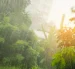 Referencial. La lluvia intensa cubre zonas de vegetación en Ecuador, mientras el pronóstico advierte precipitaciones este 12 de junio.