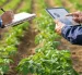 El programa de incentivos financieros del Gobierno destinará $155 millones para ampliar el acceso a créditos de jóvenes emprendedores y pequeños productores agrícolas a través de cooperativas del país.