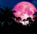 La Luna de Fresa y el solsticio de junio marcarán dos de los principales eventos astronómicos del mes, visibles desde Ecuador si las condiciones climáticas lo permiten.