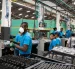 Un grupo de trabajadores cumple con su jornada laboral en una fábrica.