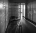 La reforma penal de ADN busca frenar a las estructuras delictivas. Sin embargo, queda en el aire el castigo a los funcionarios que inventan delitos.