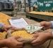 Una foto referencial sobre la comercialización del maíz en Ecuador.