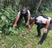 En el sector de Argelia, sur de Quito, policías del Distrito Eloy Alfaro localizaron una arma de fuego, que fue levantada con cadena de custodia y trasladada a la Policía Judicial.