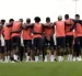 Ecuador ante Alemania, el todo o nada. Por ahora un gato dice que la Tri podría ganar.