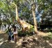 Dinosaurios gigantes con efectos de sonido y movimiento son la gran atracción del Jardín Jurásico en Quito.