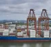 Las exportaciones avanzaron 1,7 %, impulsadas por mayores ventas de camarón elaborado y minerales.