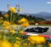 El piloto italiano Andrea Kimi Antonelli, de Mercedes, participa en una sesión de entrenamientos del Gran Premio de Austria de Fórmula 1.