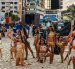 Jóvenes con trajes de aborígenes les rindieron tributo a los cetáceos en su llegada a las costas peninsulares
