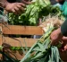 Dedicó su vida a la investigación, la docencia y el impulso de la agricultura orgánica en Ecuador