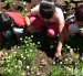 La programación se dividirá en dos ejes temáticos. El primero, denominado "Agua y Vida", abordará la importancia del agua, la biodiversidad y la gestión comunitaria.