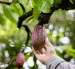 En París, Ecuador lanza concurso para productos derivados de cacao