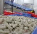 La CNA afirmó que las exportaciones de camarón hacia China continúan, pese a las restricciones aplicadas a 14 empresas.