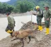 Uniformados de las Fuerzas Armadas continúan con la búsqueda de personas extraviadas una semana después del deslave en Zamora Chinchipe.