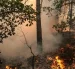 Una zona de bosque quemado mientras los bomberos trabajan para extinguir un incendio en el bosque de Fontainebleau en Noisy-sur-Ecole, Francia, 13 de julio de 2026.
