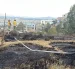 Una de las emergencia ocurrió en la Jaime Roldós, en el norte. Allí ocurrió un incendio forestal.