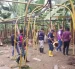 Agrocalidad ha detectado un segundo brote de la plaga Fusarium en El Oro.