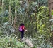 Maytté Gavilanes camina en la zona talada, el martes 14 de julio del 2026, en El Bosque.