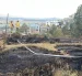 El 14 de julio ocurrió un incendio forestal en el sector Jaime Roldós, en el norte de Quito.