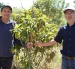 Ramiro Morejón Neira y Juan Carlos Robles Neira acuden al menos tres veces por semana al bosquete, en el Bicentenario.